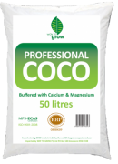 W2GCocoBagtransback